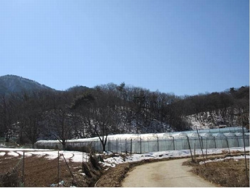 2025타경5225 경상북도 상주시 화동면 판곡리 산88 임야 경매 이미지
