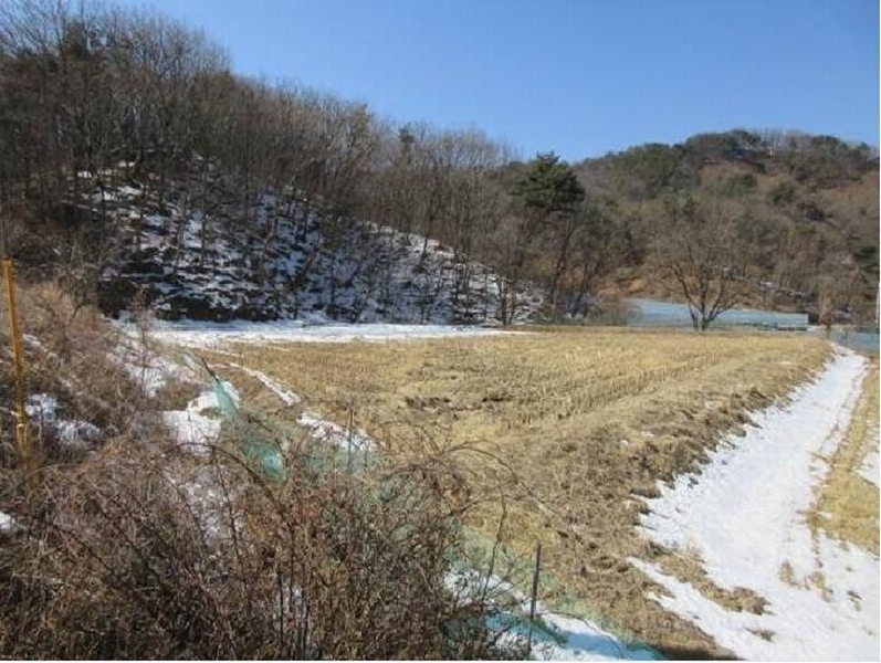 2025타경5225 경상북도 상주시 화동면 판곡리 산88 임야 경매 이미지