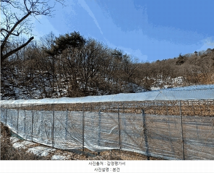 2025타경5225 경상북도 상주시 화동면 판곡리 산88 임야 경매 이미지