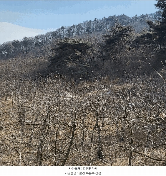 2025타경5232 경상북도 문경시 문경읍 하초리 산68 임야 경매 이미지