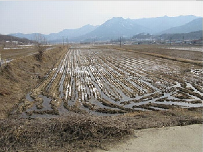 2025타경5244 경상북도 문경시 농암면 지동리 677 농지 경매 이미지