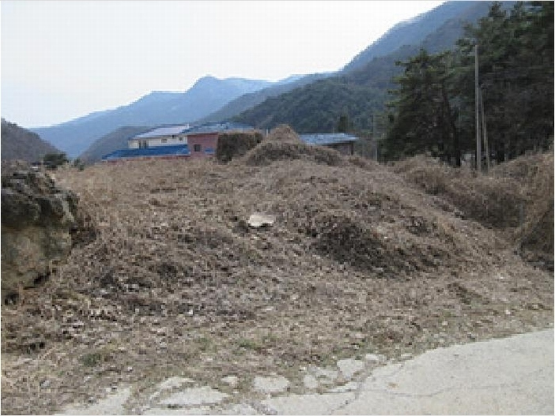 2025타경5246 경상북도 문경시 문경읍 상초리 288-4 대지 경매 이미지