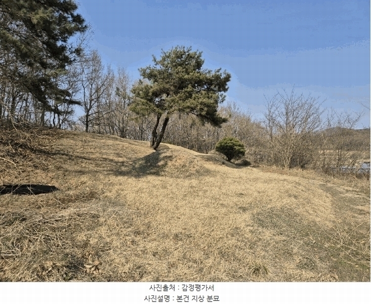 2025타경5268 경상북도 예천군 용궁면 대은리 산103 임야 경매 이미지