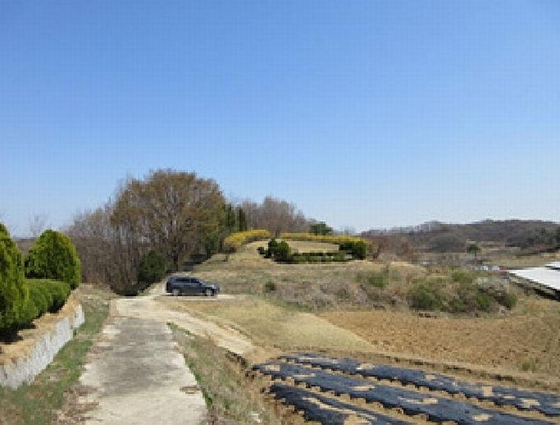 2025타경5268 경상북도 예천군 용궁면 대은리 산103 임야 경매 이미지