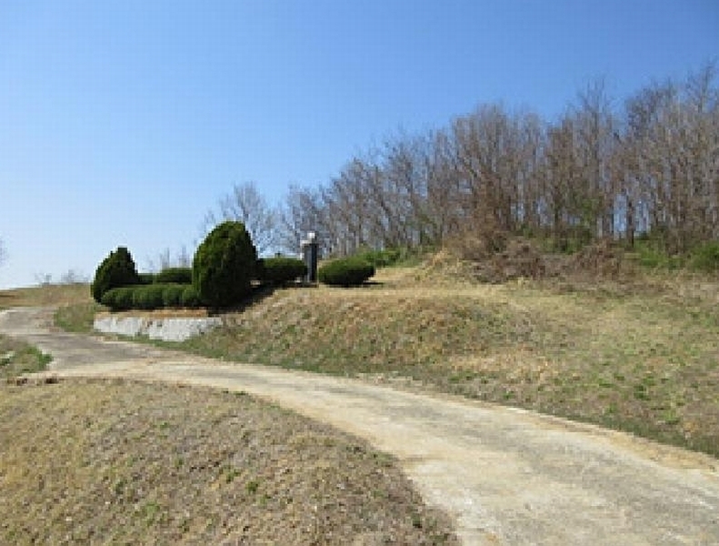2025타경5268 경상북도 예천군 용궁면 대은리 산103 임야 경매 이미지