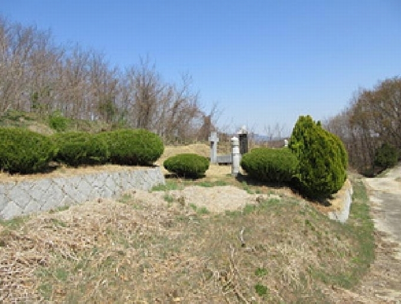 2025타경5268 경상북도 예천군 용궁면 대은리 산103 임야 경매 이미지