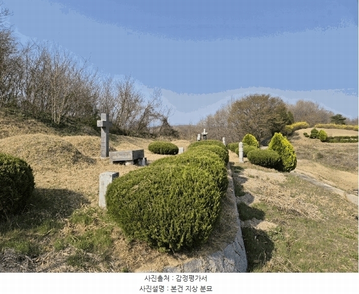 2025타경5268 경상북도 예천군 용궁면 대은리 산103 임야 경매 이미지