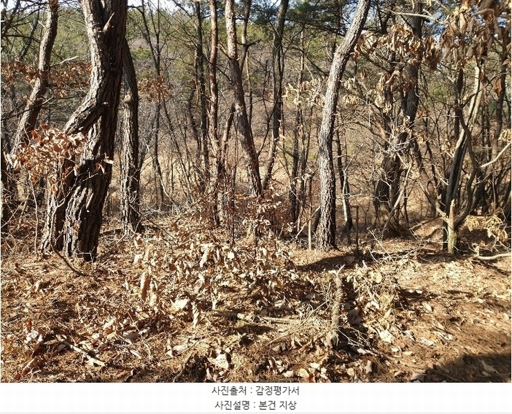 2024타경691 대구광역시 군위군 소보면 서경리 산71 임야 경매 이미지