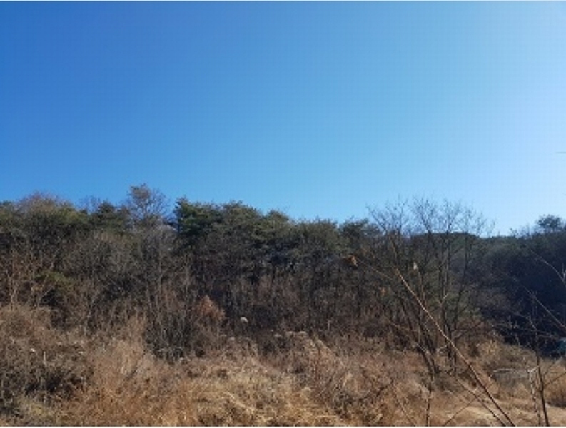 2024타경691 대구광역시 군위군 소보면 서경리 산71 임야 경매 이미지