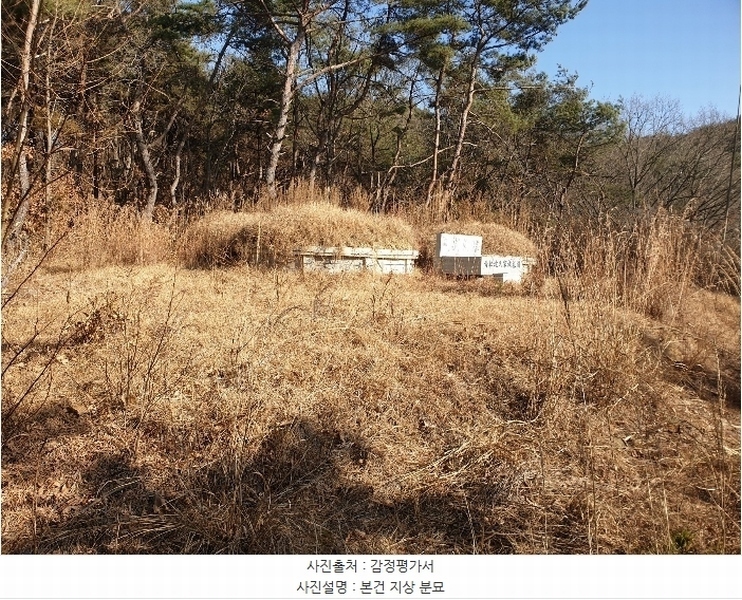 2024타경691 대구광역시 군위군 소보면 서경리 산71 임야 경매 이미지