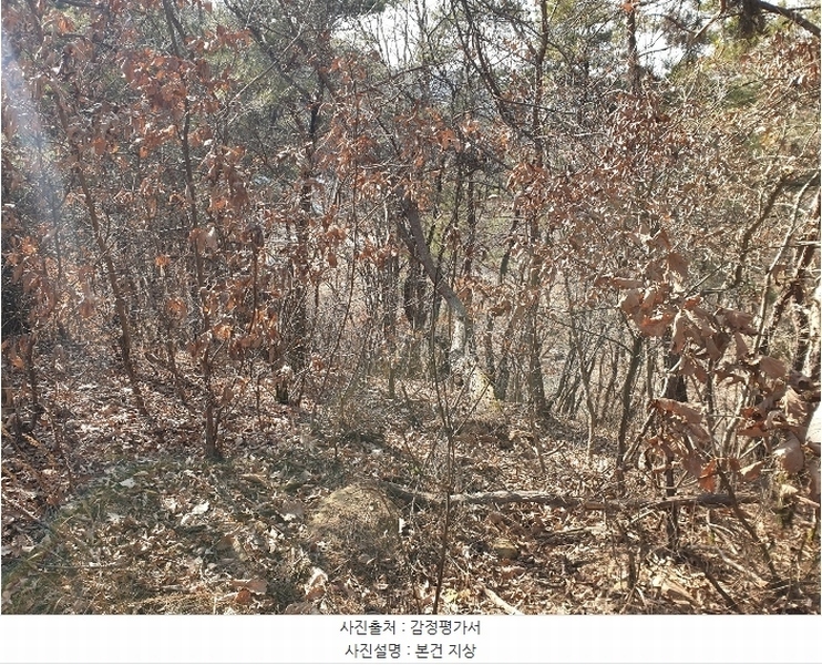 2024타경691 대구광역시 군위군 소보면 서경리 산71 임야 경매 이미지