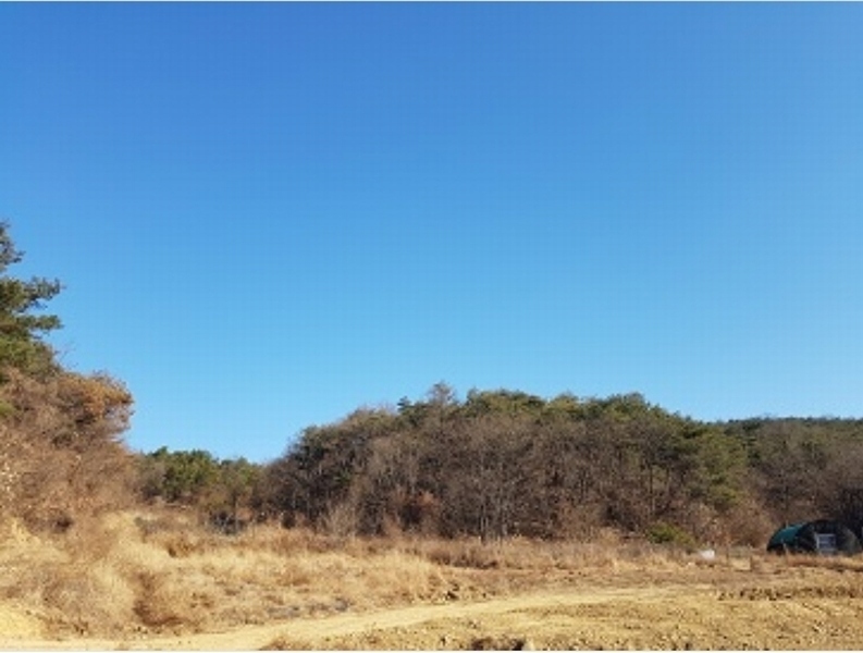 2024타경691 대구광역시 군위군 소보면 서경리 산71 임야 경매 이미지
