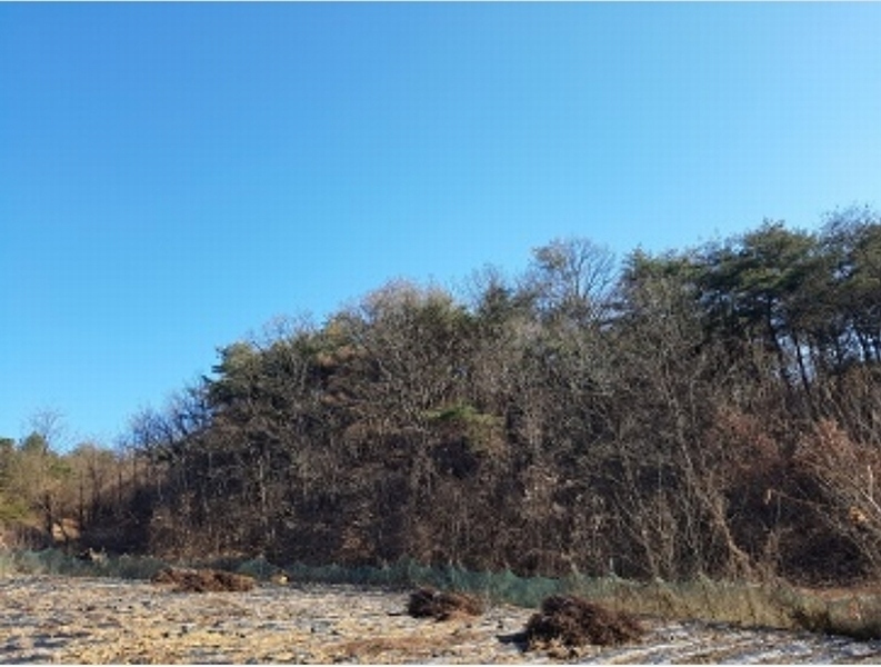 2024타경691 대구광역시 군위군 소보면 서경리 산71 임야 경매 이미지