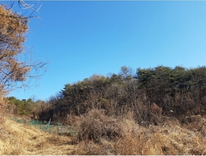 2024타경691 대구광역시 군위군 소보면 서경리 산71 임야 경매 이미지