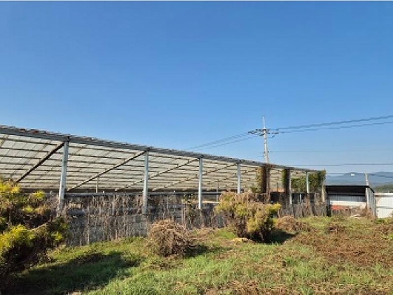 2024타경10001 경상북도 의성군 다인면 신락리 25-10 농지 경매 이미지