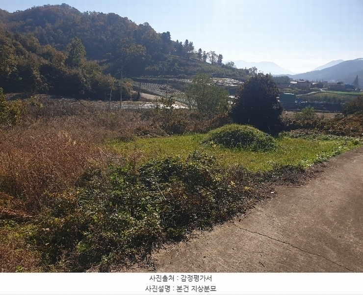 2024타경11813 대구광역시 군위군 의흥면 읍내리 125 농지 경매 이미지
