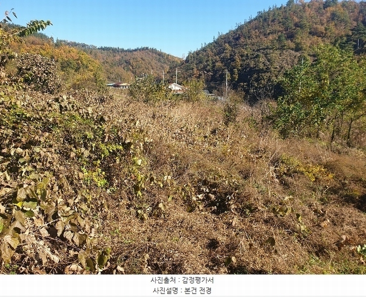 2024타경11813 대구광역시 군위군 의흥면 읍내리 125 농지 경매 이미지