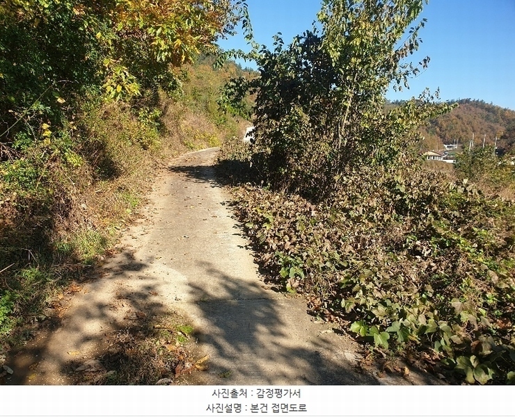 2024타경11813 대구광역시 군위군 의흥면 읍내리 125 농지 경매 이미지