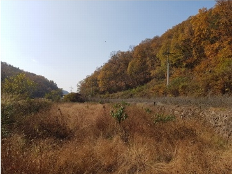 2024타경11905 대구광역시 군위군 의흥면 읍내리 165 농지 경매 이미지