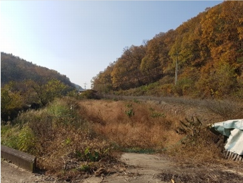 2024타경11905 대구광역시 군위군 의흥면 읍내리 165 농지 경매 이미지