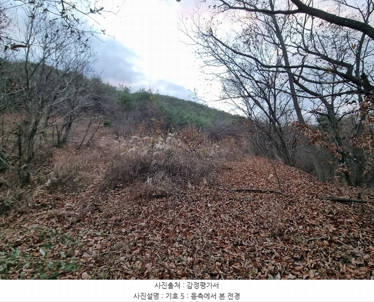 2024타경12045 경상북도 의성군 점곡면 윤암리 336 농지 경매 이미지