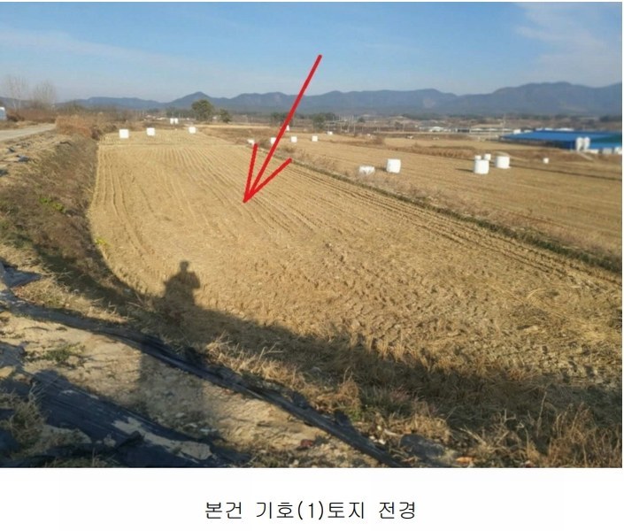 2024타경12090 경상북도 의성군 다인면 가원리 634-2 농지 경매 이미지