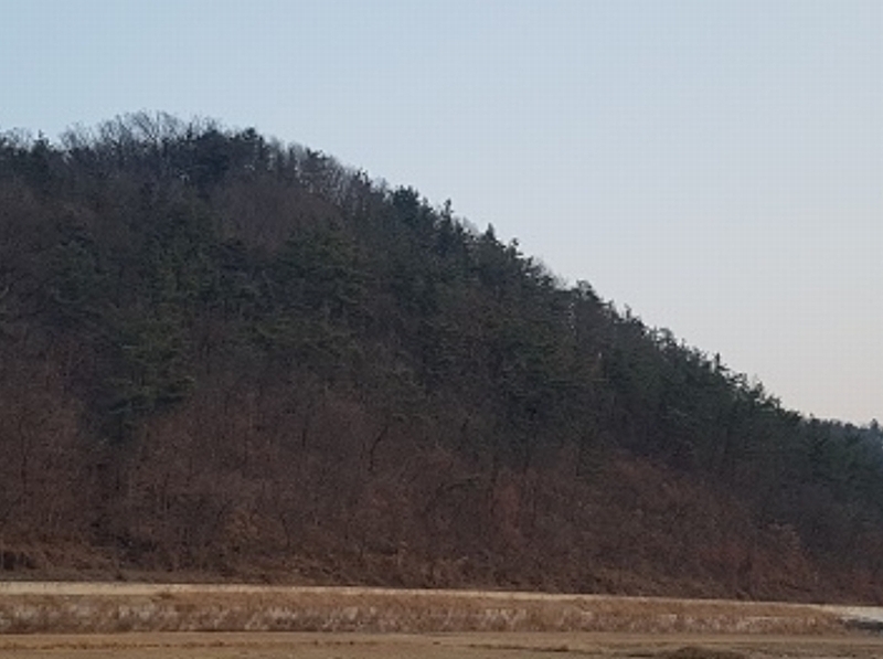 2025타경18 대구광역시 군위군 군위읍 동부리 산17-1 임야 경매 이미지