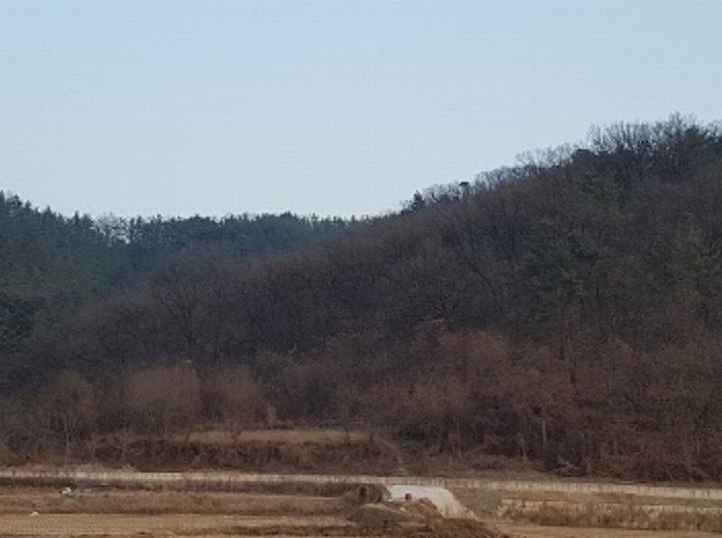 2025타경18 대구광역시 군위군 군위읍 동부리 산17-1 임야 경매 이미지