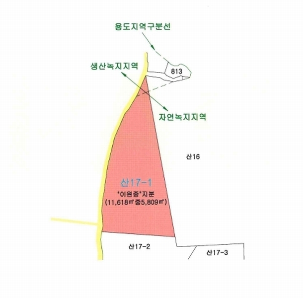 2025타경18 대구광역시 군위군 군위읍 동부리 산17-1 임야 경매 이미지