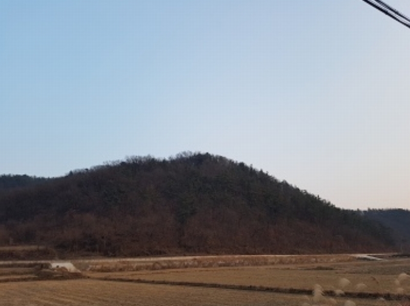 2025타경18 대구광역시 군위군 군위읍 동부리 산17-1 임야 경매 이미지