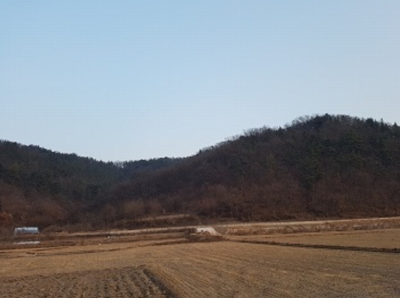 2025타경18 대구광역시 군위군 군위읍 동부리 산17-1 임야 경매 이미지