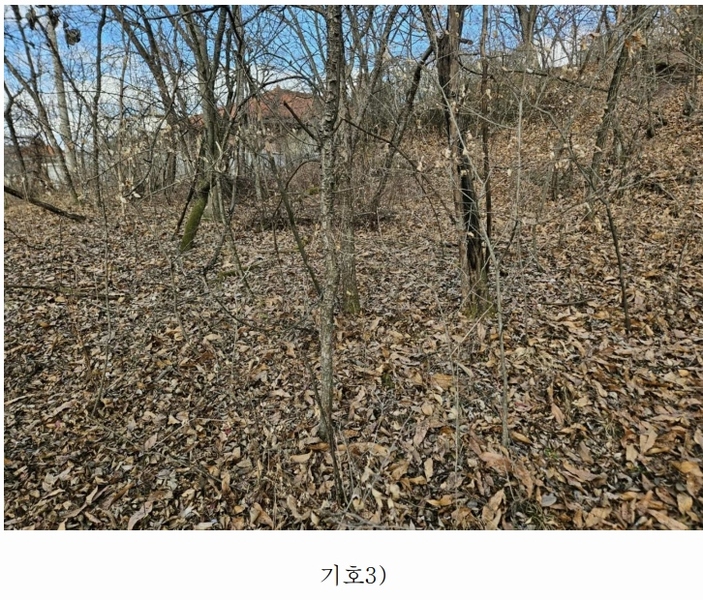 2025타경10039 경상북도 의성군 의성읍 비봉리 867 대지 경매 이미지