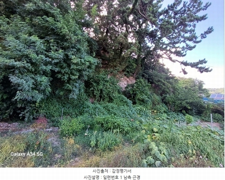 2024타경625 경상북도 영덕군 강구면 오포리 9-40 농지 경매 이미지