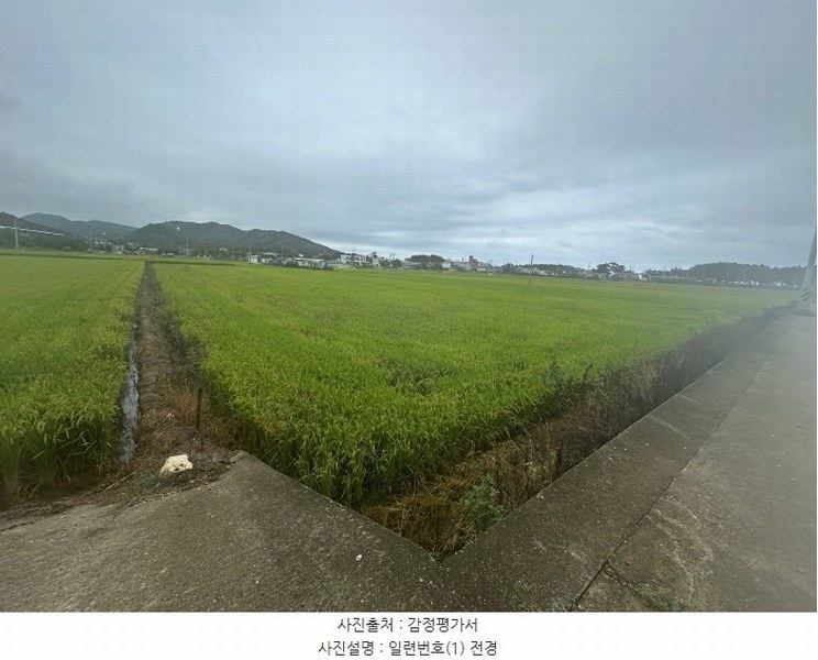 2024타경847 경상북도 영덕군 남정면 장사리 182-6 농지 경매 이미지