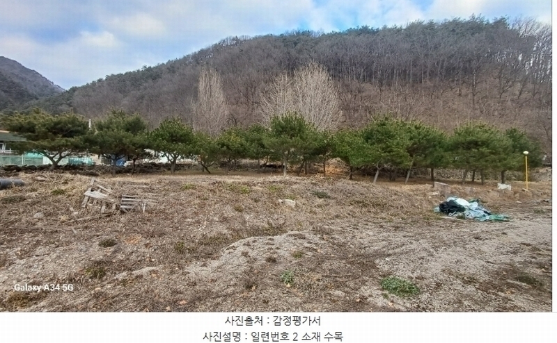 2024타경1208 경상북도 영양군 영양읍 상원리 302-1 근린시설 경매 이미지