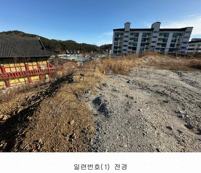 2024타경1222 경상북도 울진군 후포면 삼율리 530-8 임야 경매 이미지