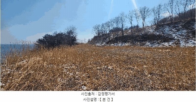2024타경1246 경상북도 영덕군 강구면 삼사리 9-67 잡종지 경매 이미지