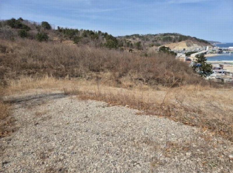 2024타경1246 경상북도 영덕군 강구면 삼사리 9-67 잡종지 경매 이미지