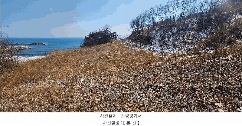 2024타경1246 경상북도 영덕군 강구면 삼사리 9-67 잡종지 경매 이미지