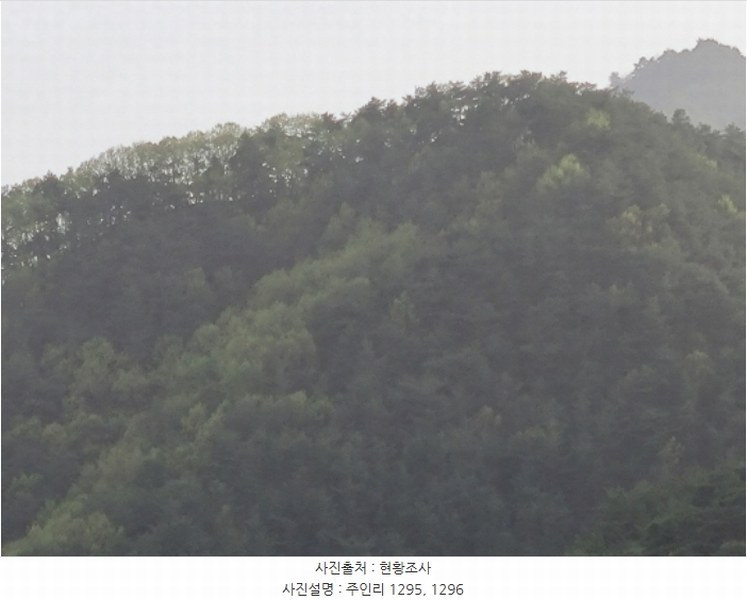 2024타경10530 경상북도 울진군 북면 주인리 1295 농지 경매 이미지