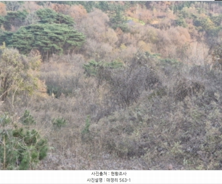 2024타경11915 경상북도 영덕군 영덕읍 매정리 563-1 농지 경매 이미지