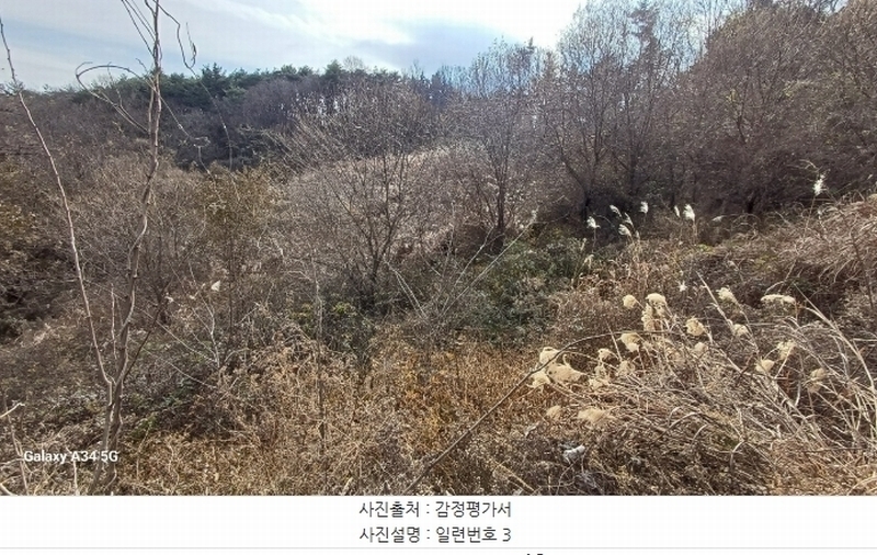 2024타경11915 경상북도 영덕군 영덕읍 매정리 563-1 농지 경매 이미지