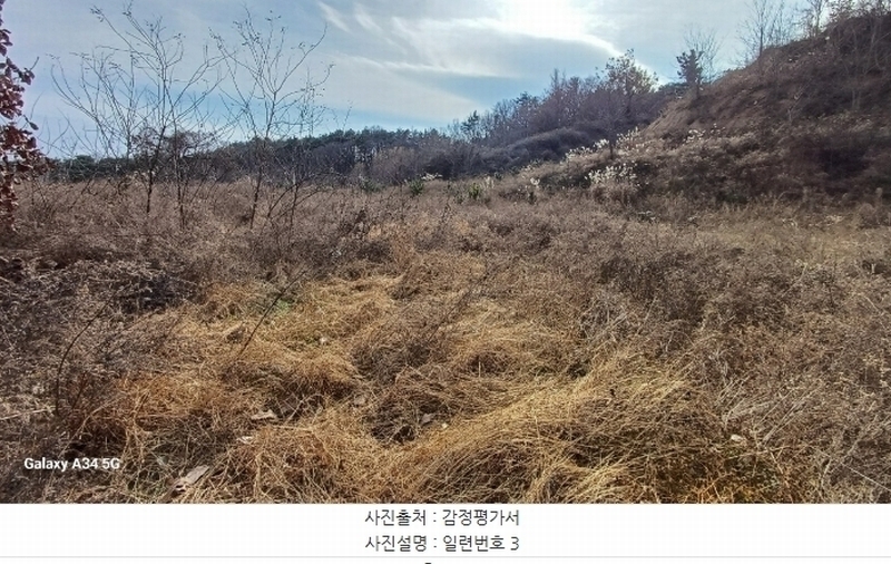 2024타경11915 경상북도 영덕군 영덕읍 매정리 563-1 농지 경매 이미지