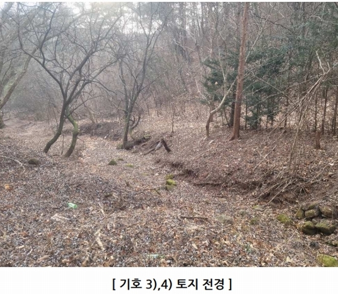 2024타경12086 경상북도 영양군 일월면 도계리 386 농지 경매 이미지