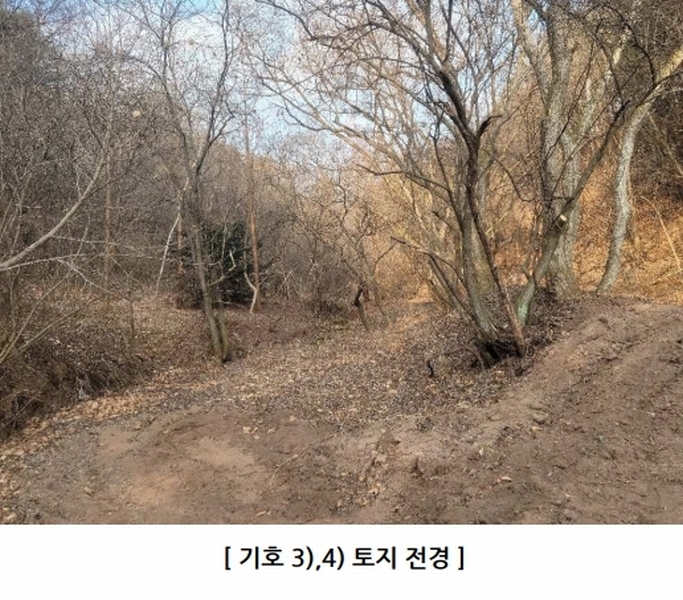 2024타경12086 경상북도 영양군 일월면 도계리 386 농지 경매 이미지