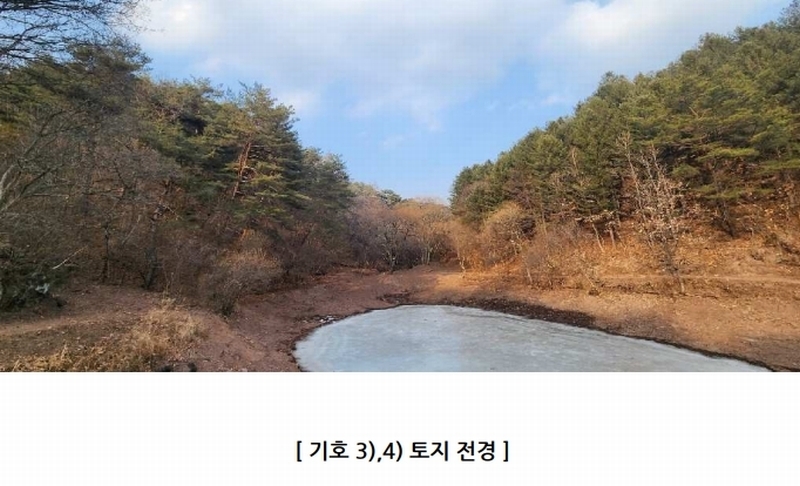 2024타경12086 경상북도 영양군 일월면 도계리 386 농지 경매 이미지