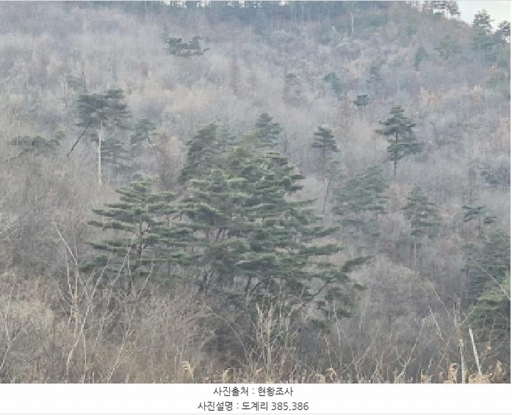 2024타경12086 경상북도 영양군 일월면 도계리 386 농지 경매 이미지