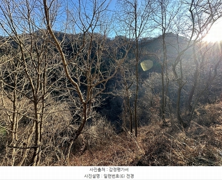 2024타경12093 경상북도 영덕군 창수면 창수리 527 하천 경매 이미지