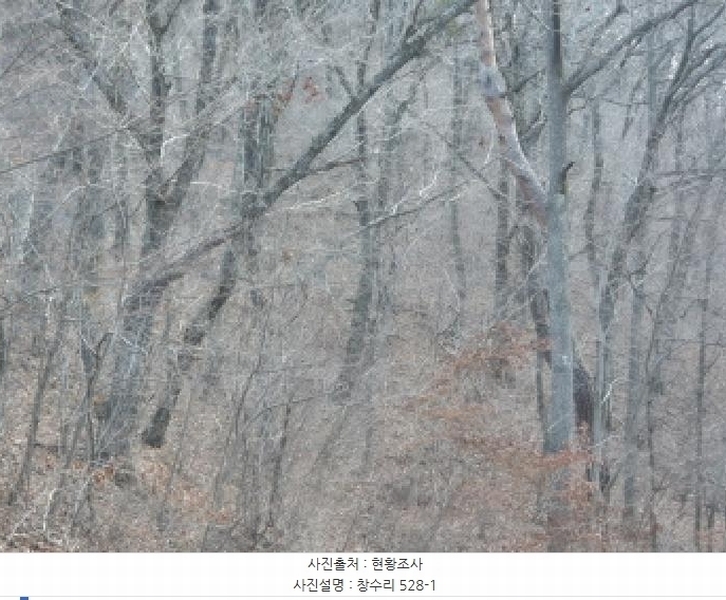 2024타경12093 경상북도 영덕군 창수면 창수리 527 하천 경매 이미지