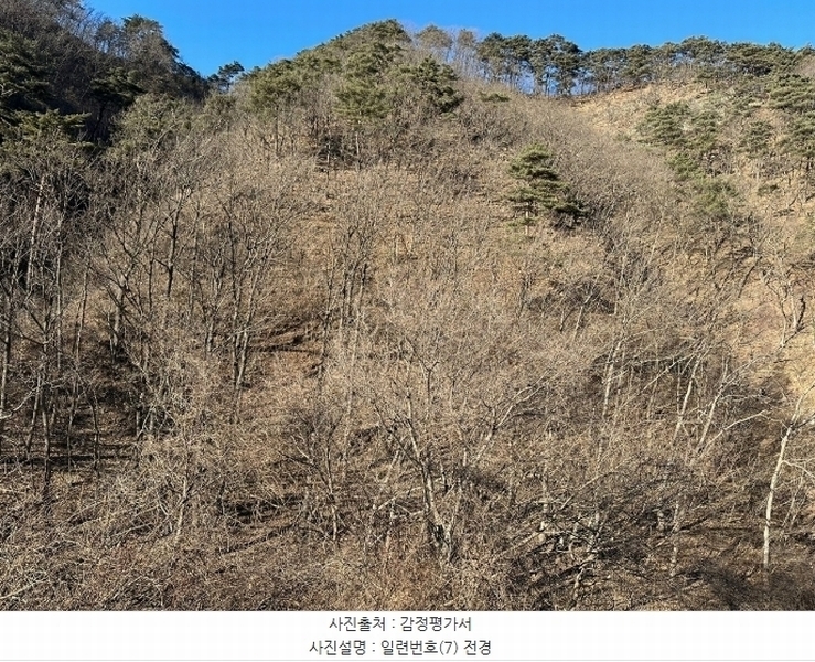 2024타경12093 경상북도 영덕군 창수면 창수리 527 하천 경매 이미지